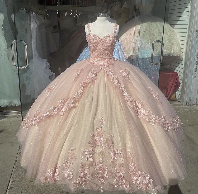 Pink A Line Floral Quince Dress Ball Gown Prom Gown M2955